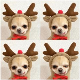Dog Autumn And Winter Clothing Small And Medium Dog Love Two Legged Cat Cute Pet Clothing (Option: 6 Style-L)